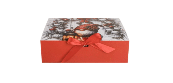 Cactus Surprise Box – Limited Edition